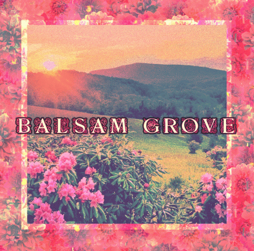Balsam Grove : Echoes of the Past